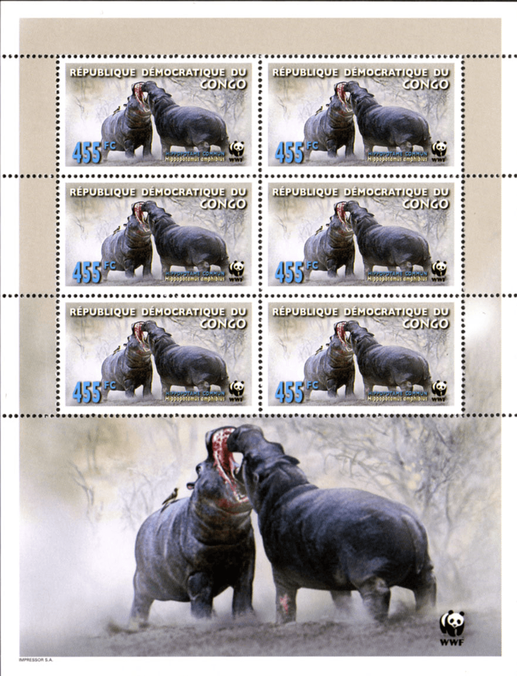 WWF , Hippo