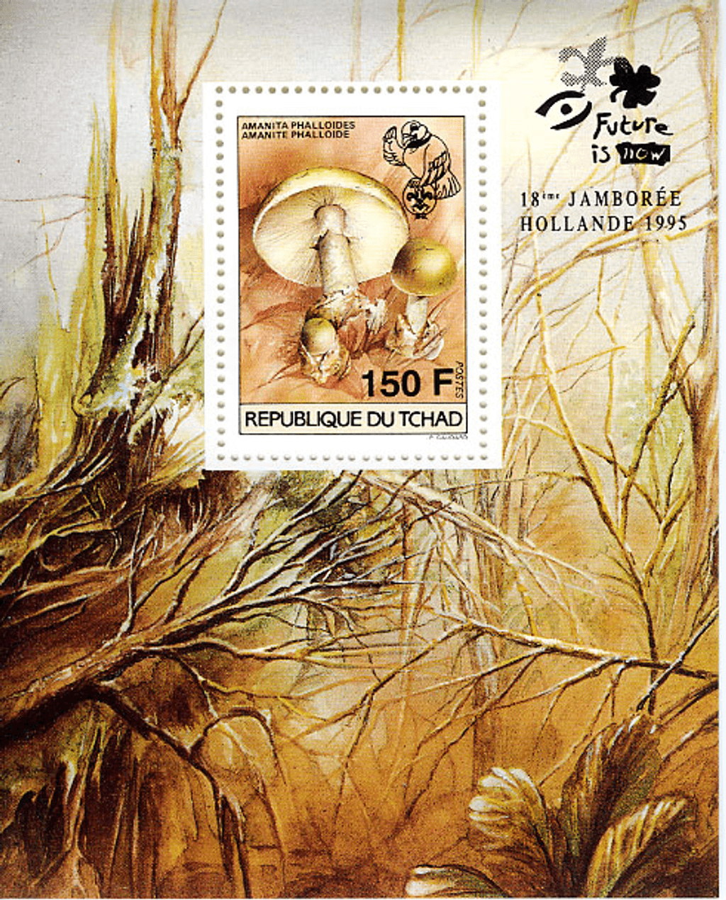 18 th Jamborée Netherland /Mushrooms