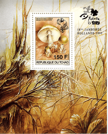 18 th Jamborée Netherland /Mushrooms