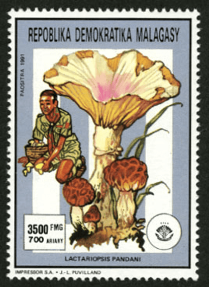 Pathfinger Movement Insects and Fungi 1991