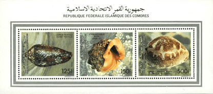Shells