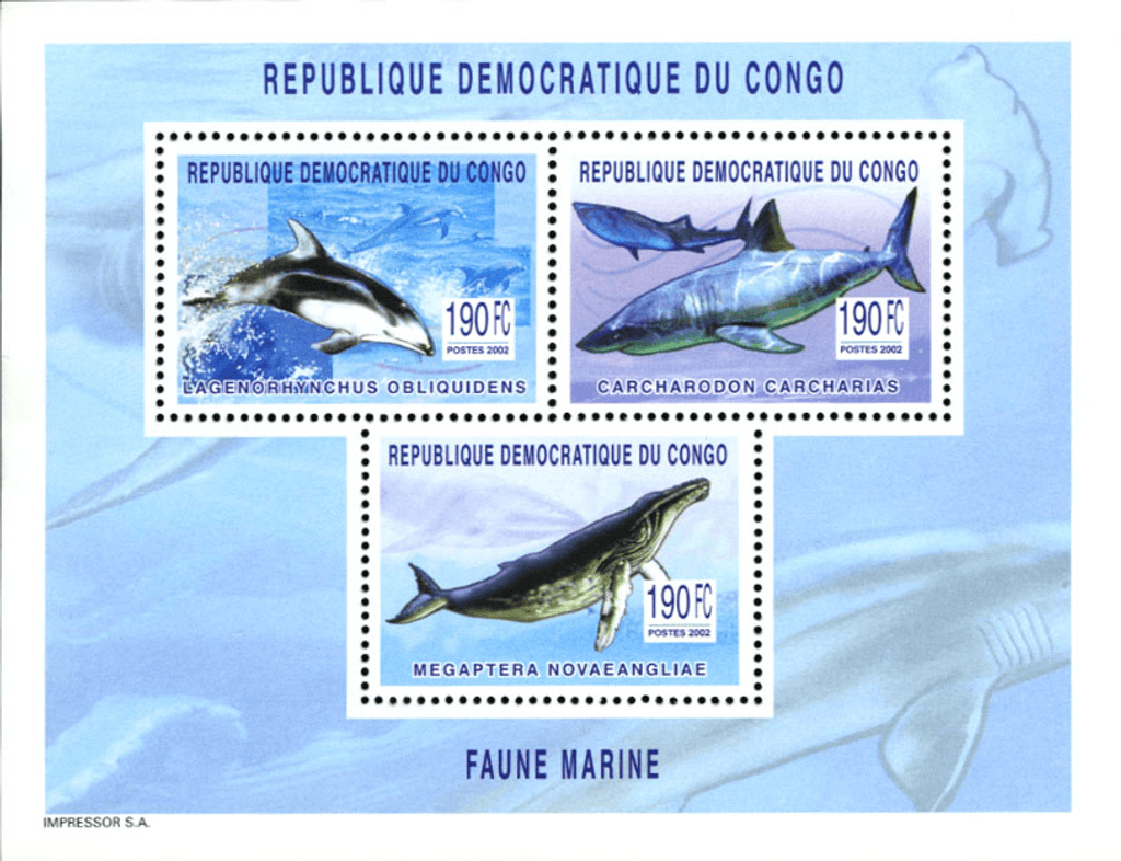 Marine Animals