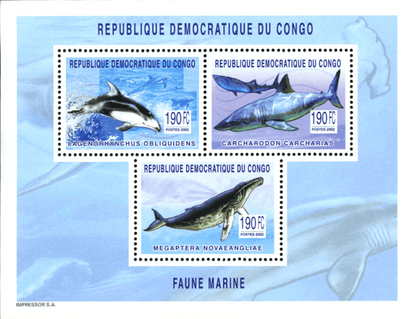 Marine Animals