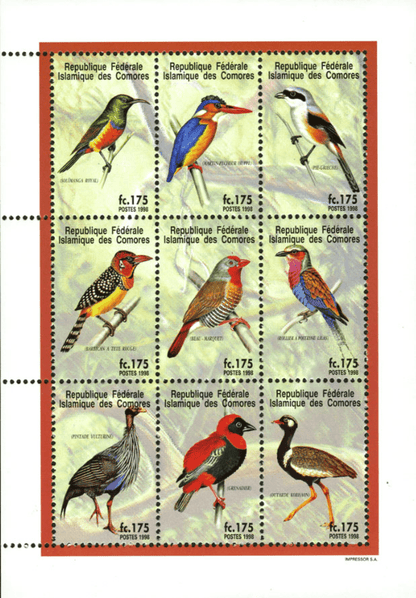 Birds from around the world