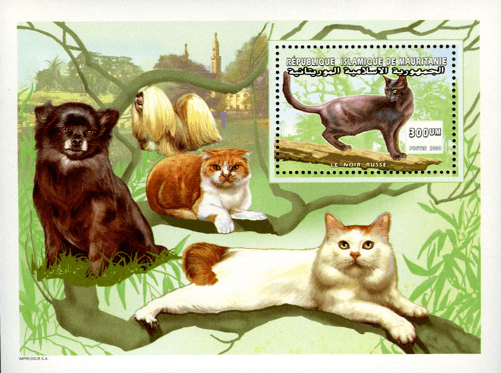 Cat & dog breeds