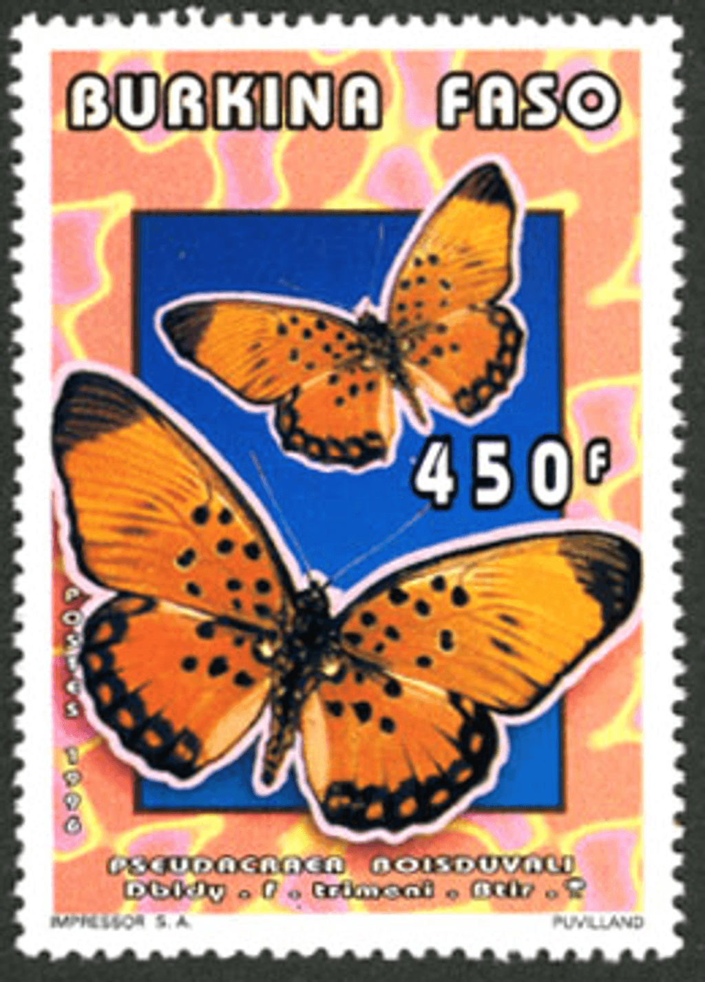 Butterflies (2613)