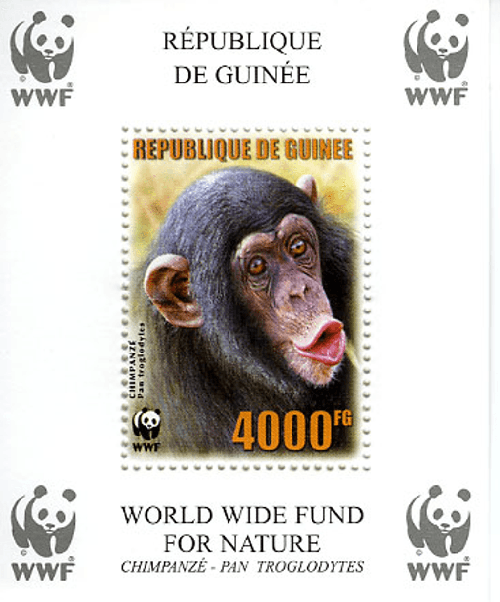 Singes (Chimpanzé WWF)