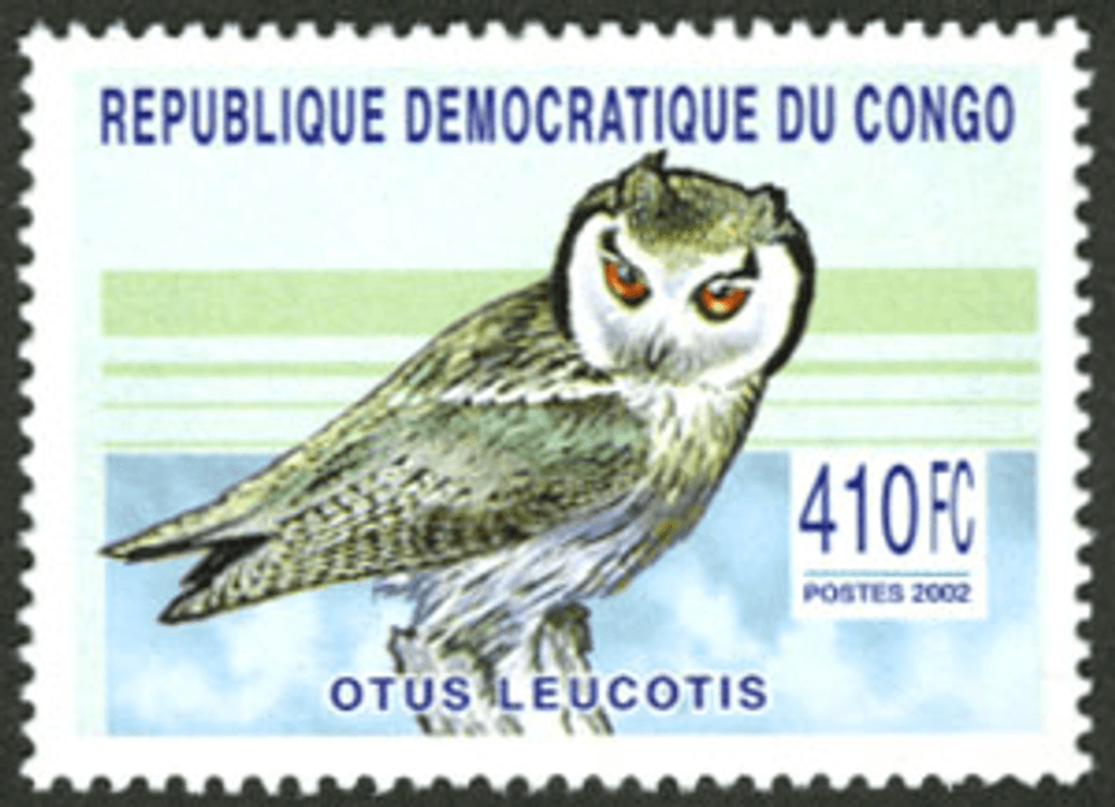 Raptors & Owls