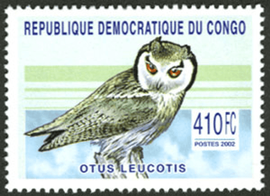 Raptors & Owls