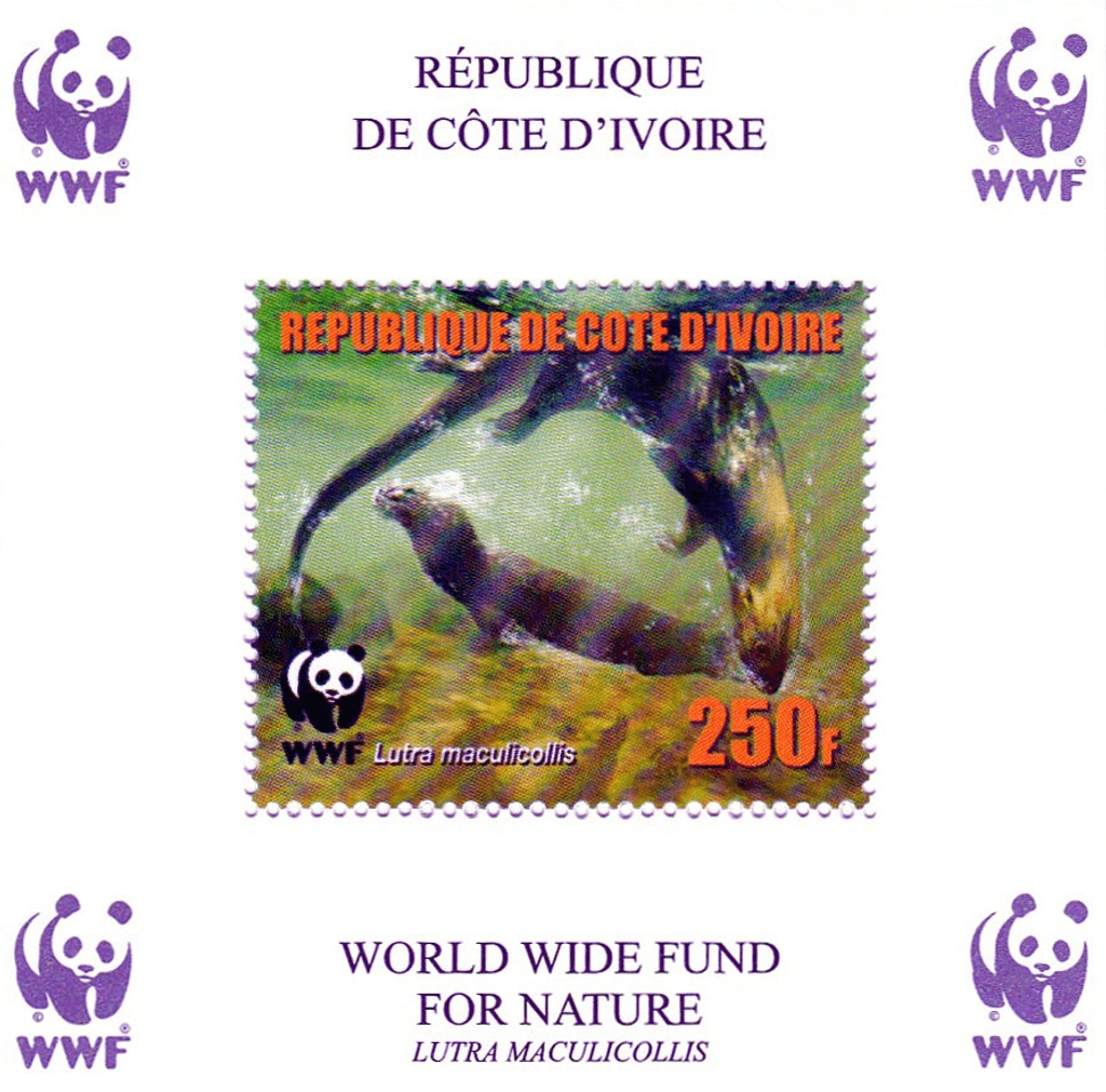 Worldwide Conservation 2005  (Otters)