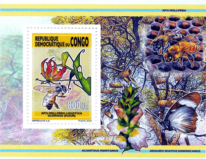 Bees and flowers