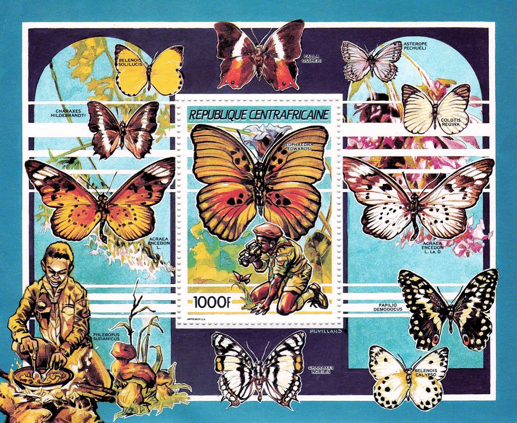 Pathfinder movement: butterflies  1990