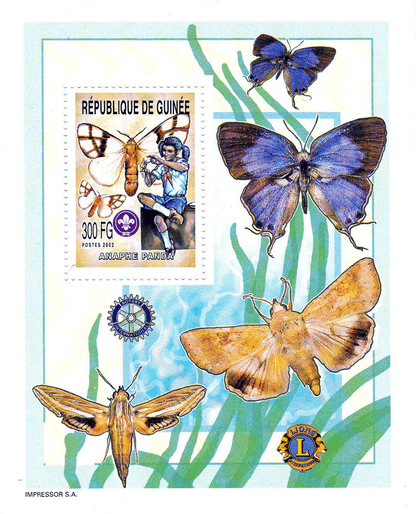 Boy Scout and Butterflies 2002