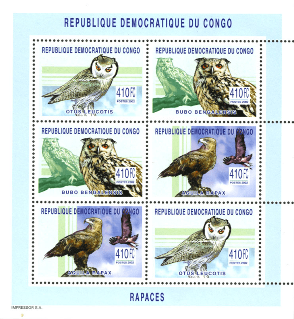 Raptors & Owls