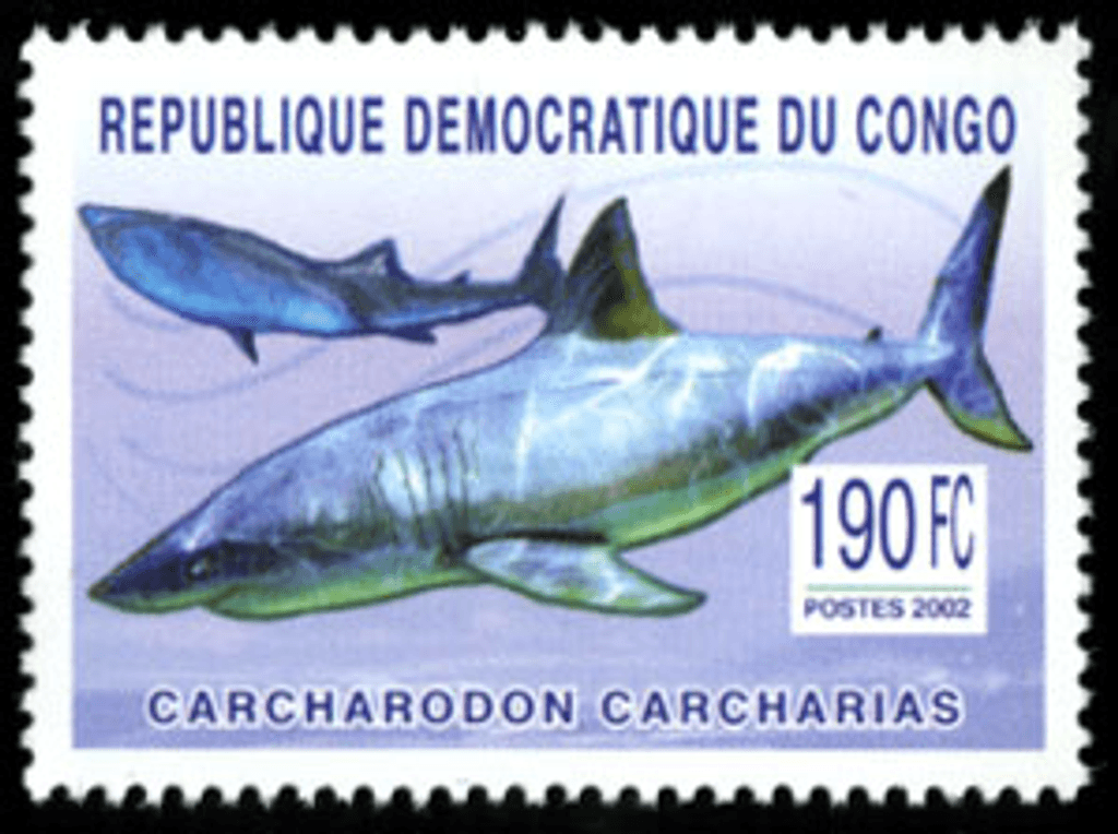 Marine Animals