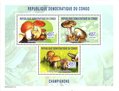 Mushrooms