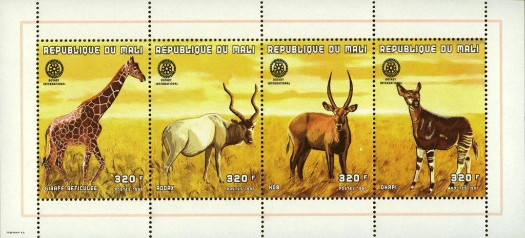 Wild Animals (2693)