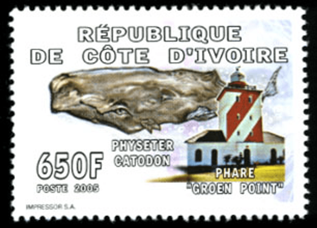 Marine Animals (3870)