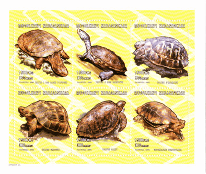 Tortles  2001