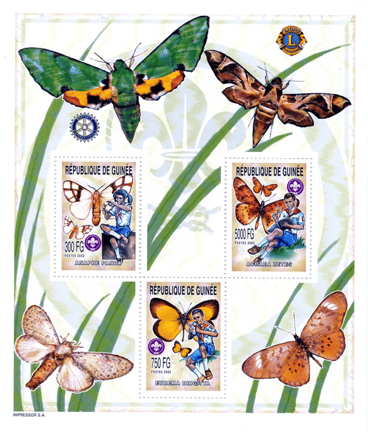 Boy Scout and Butterflies 2002