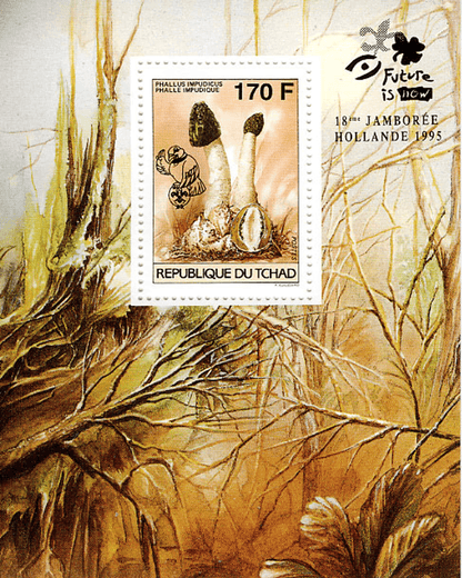 18 th Jamborée Netherland /Mushrooms