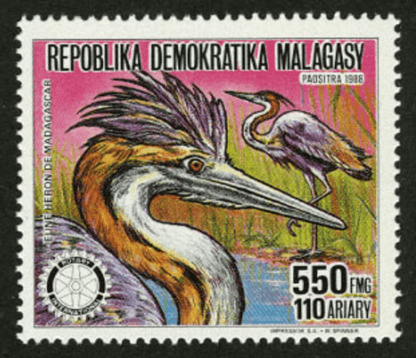 Animals Rotary international