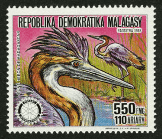 Animals Rotary international