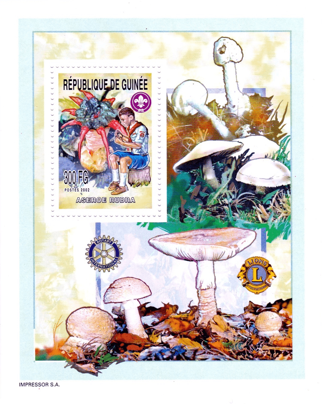Boy Scout and Mushrooms 2002