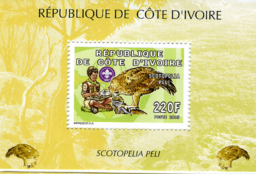 Scouting & Fauna