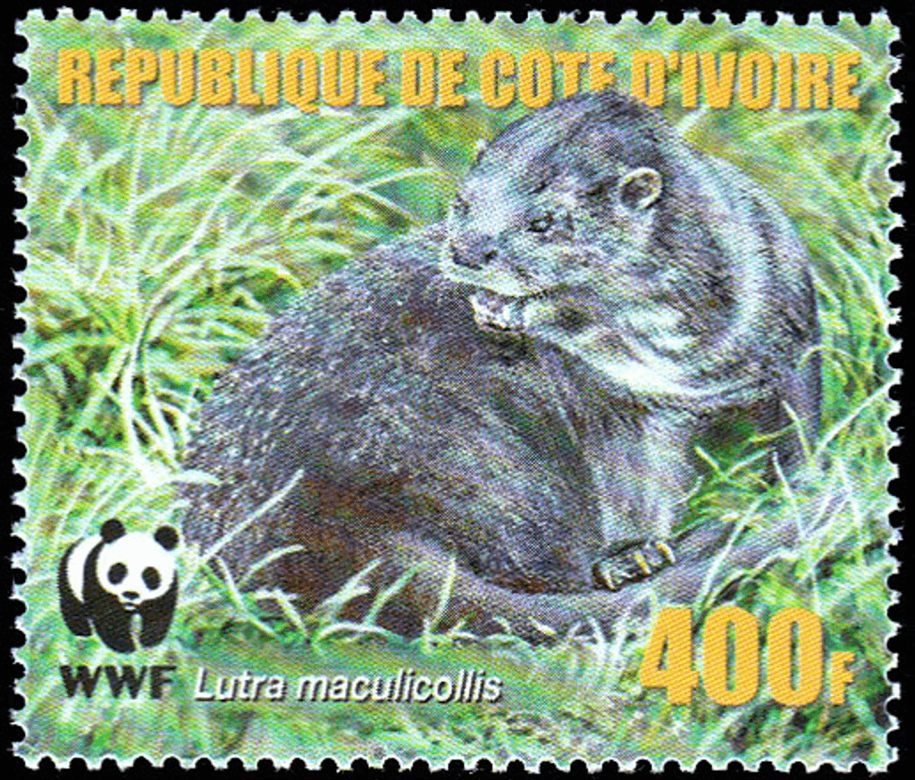 Worldwide Conservation 2005  (Otters)