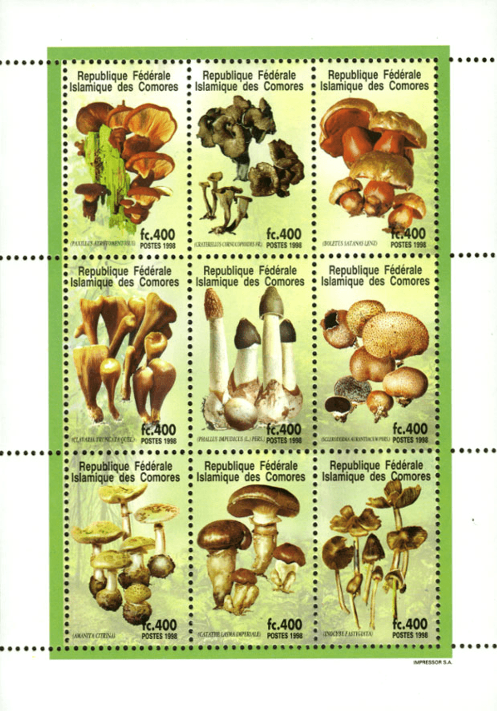 Mushrooms (5649)