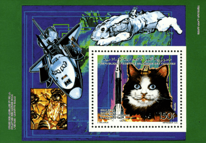 Space & animals
