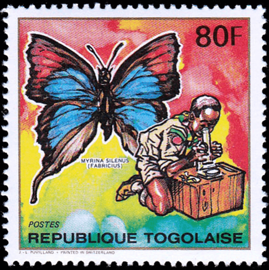 Pathfinder Naming Butterflies and Mushrooms 1990