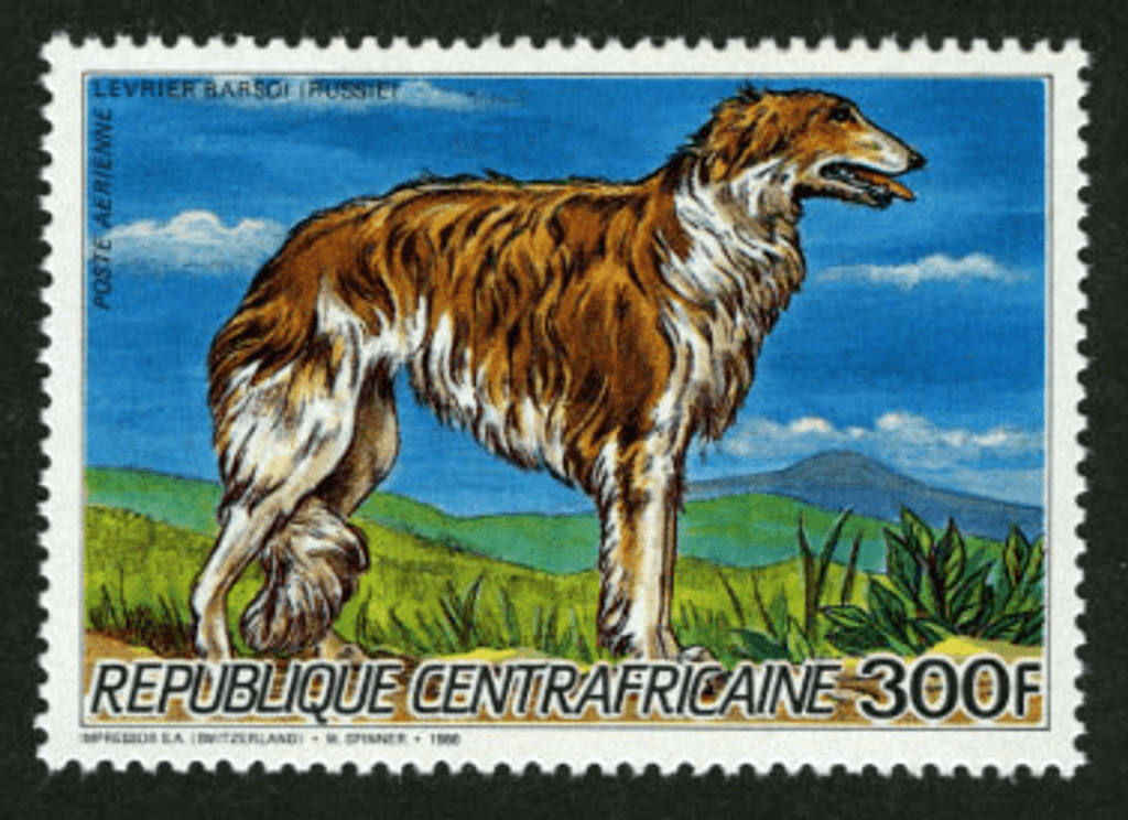 Dogs and Cat Breeds 1986