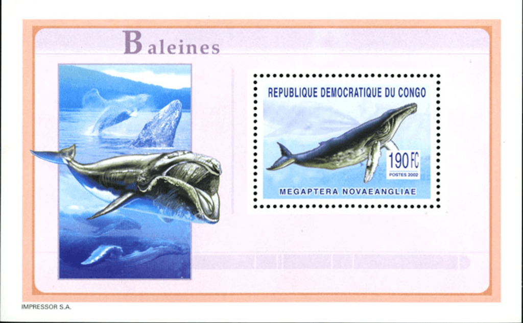 Marine Animals