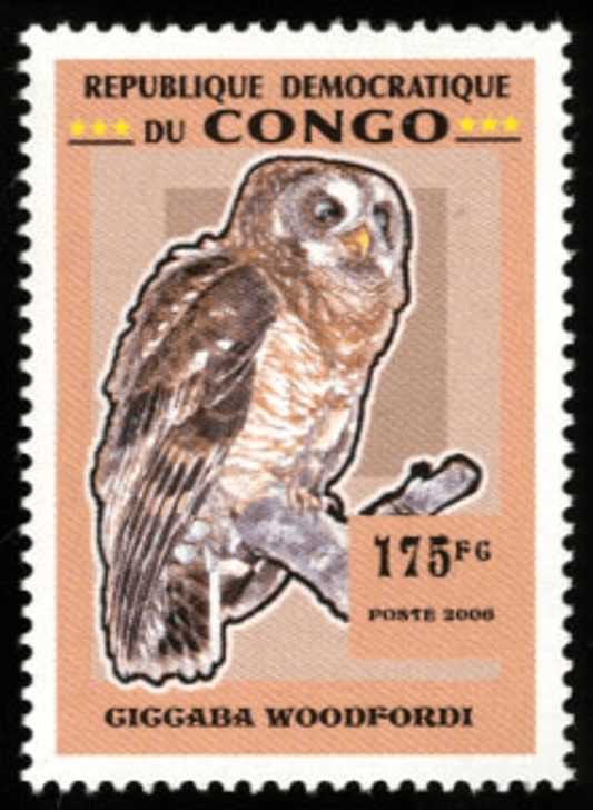 Owls
