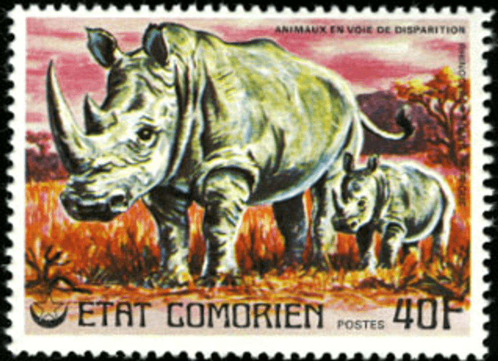 Endangered Animals