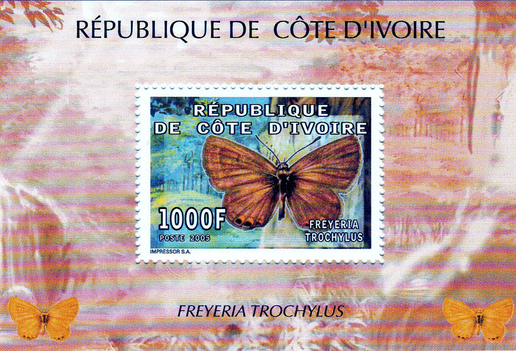 Butterflies  2005