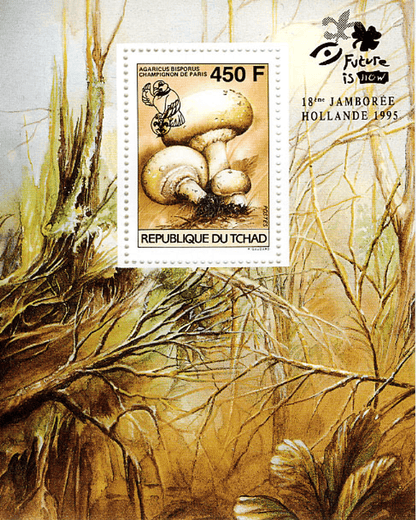 18 th Jamborée Netherland /Mushrooms