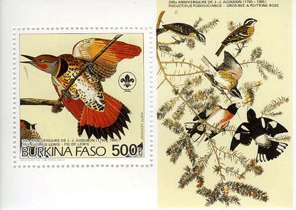 Birds from "JJ Audubon"