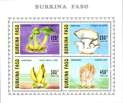 Mushrooms (2586)
