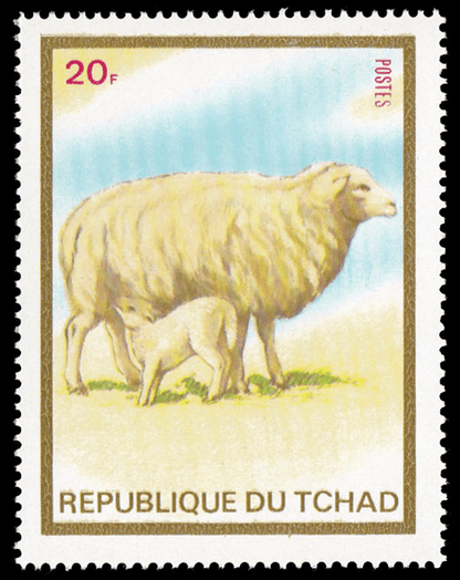 Animal (sheep,horses,camels,cats,dogs) 1973