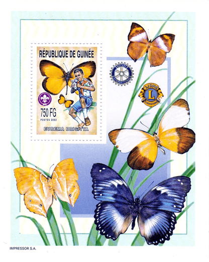 Boy Scout and Butterflies 2002