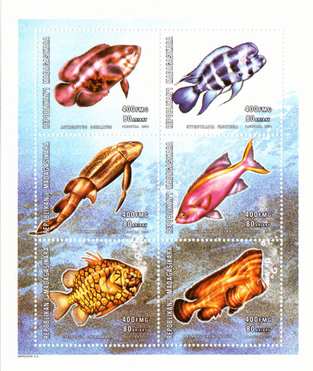 Fish 2001