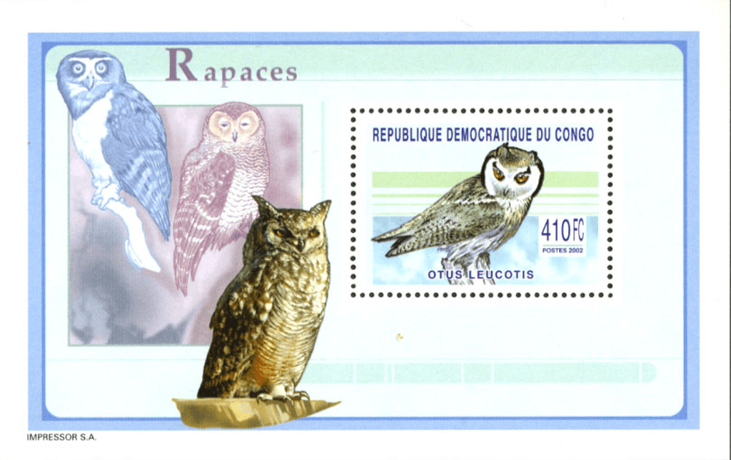 Raptors & Owls