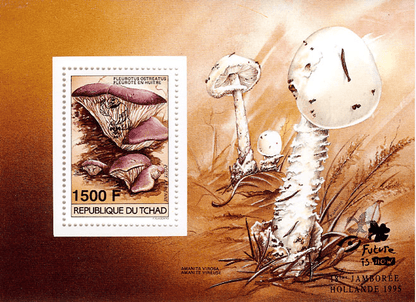 18 th Jamborée Netherland /Mushrooms