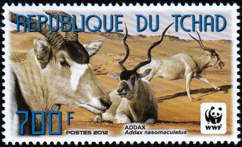 World Wild Nature Antelope 2012
