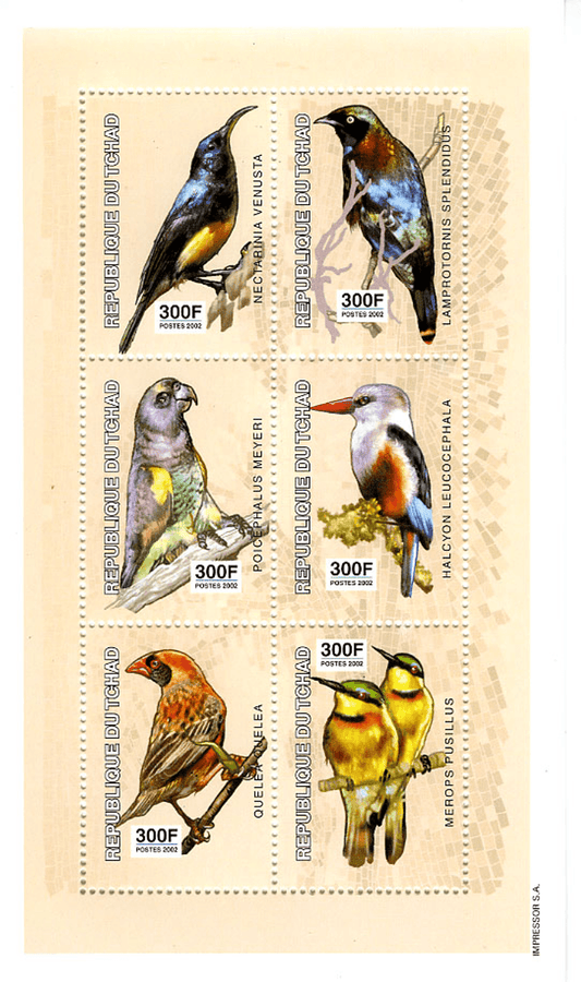 Birds - Raptors