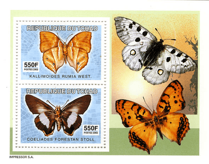 Butterflies (4579)