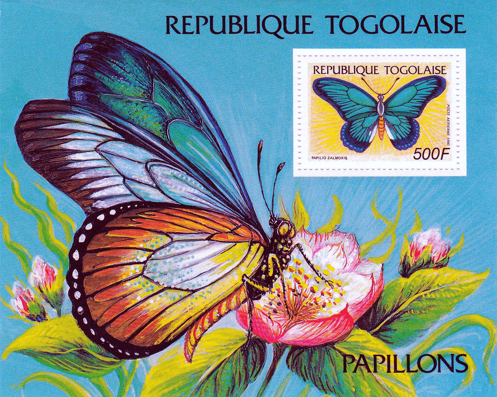 Butterflies  1990